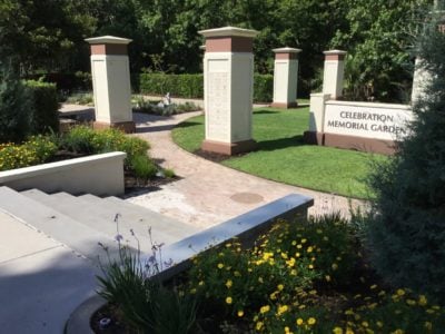 Home - Celebration Foundation