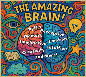 The Amazing Brain!